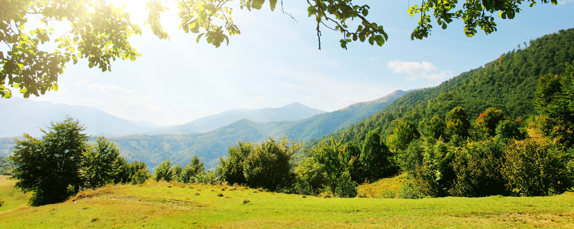 Der Bayerischer Wald