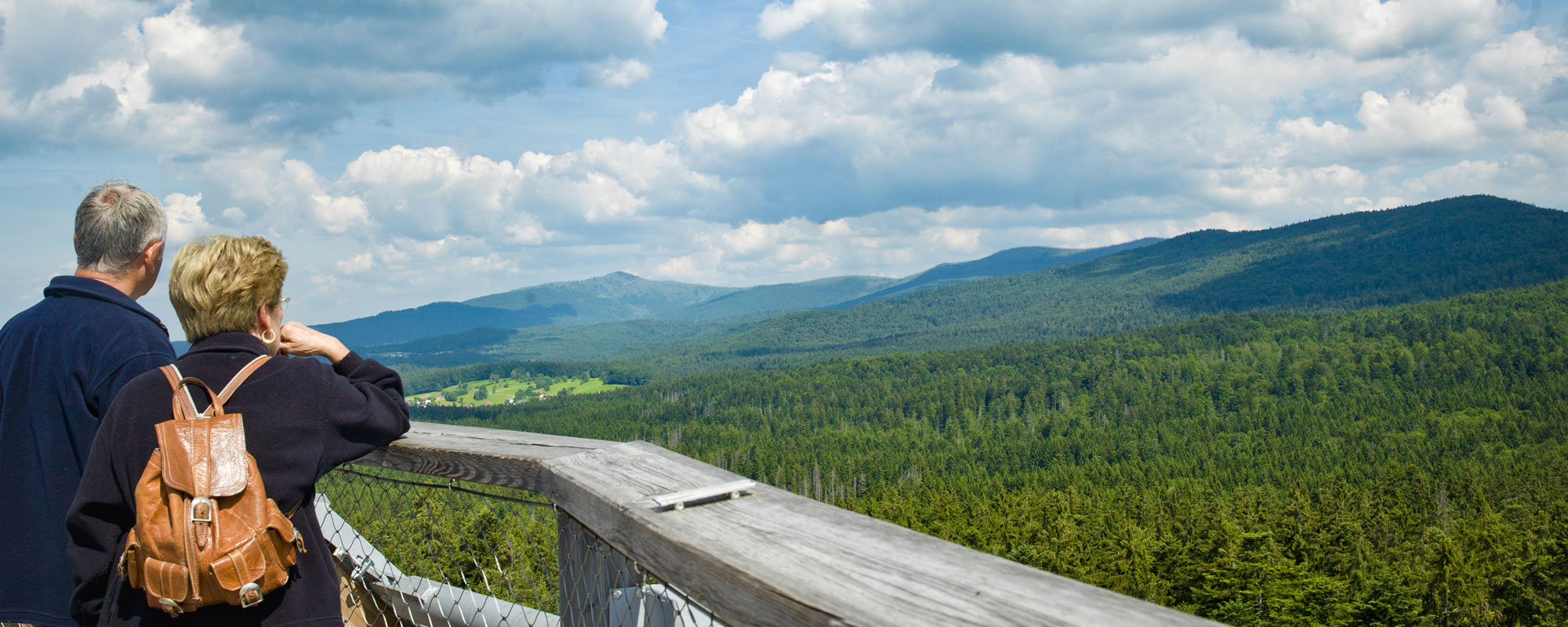 Baumwipfelpfad Bayerischer Wald